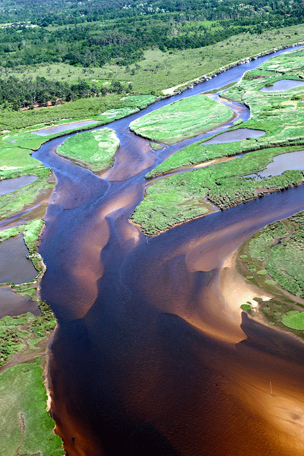 Croisière vers le Delta de Leyre (4h)