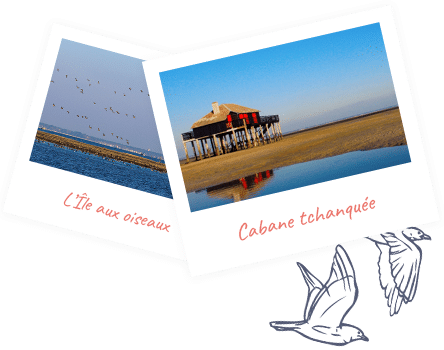 excursion pinasse bassin arcachon